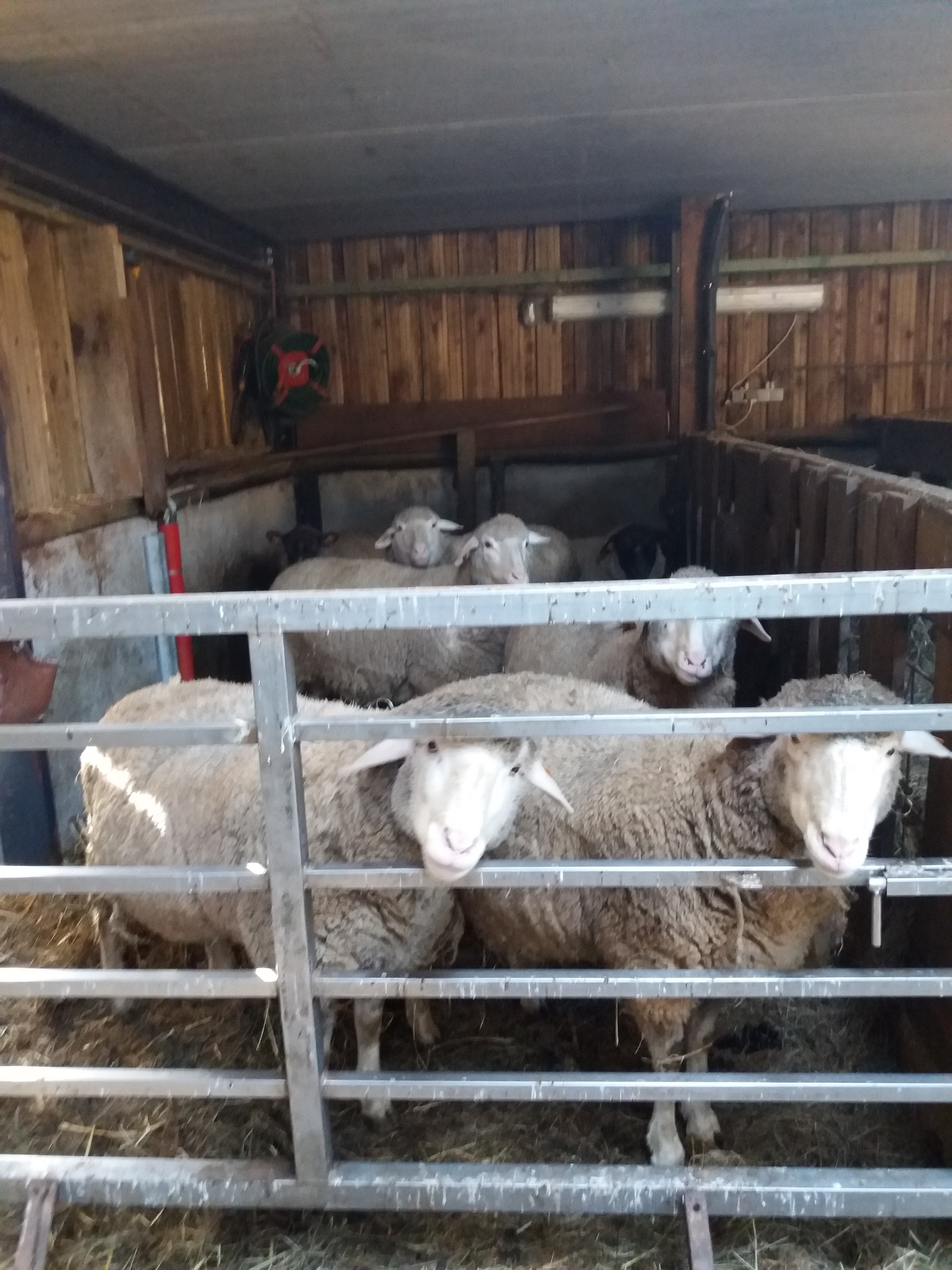 Bed and Bedot | Gîte chaleureux de 4 personnes à Fauvillers en bordure de Fôret d'Anlier - Luxembourg