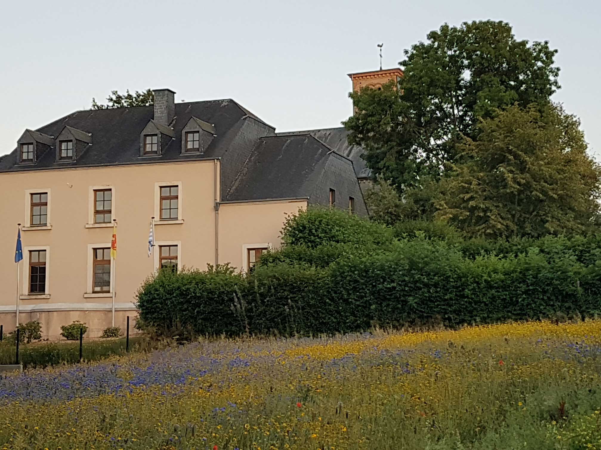 Bed and Bedot | Gîte chaleureux de 4 personnes à Fauvillers en bordure de Fôret d'Anlier - Luxembourg