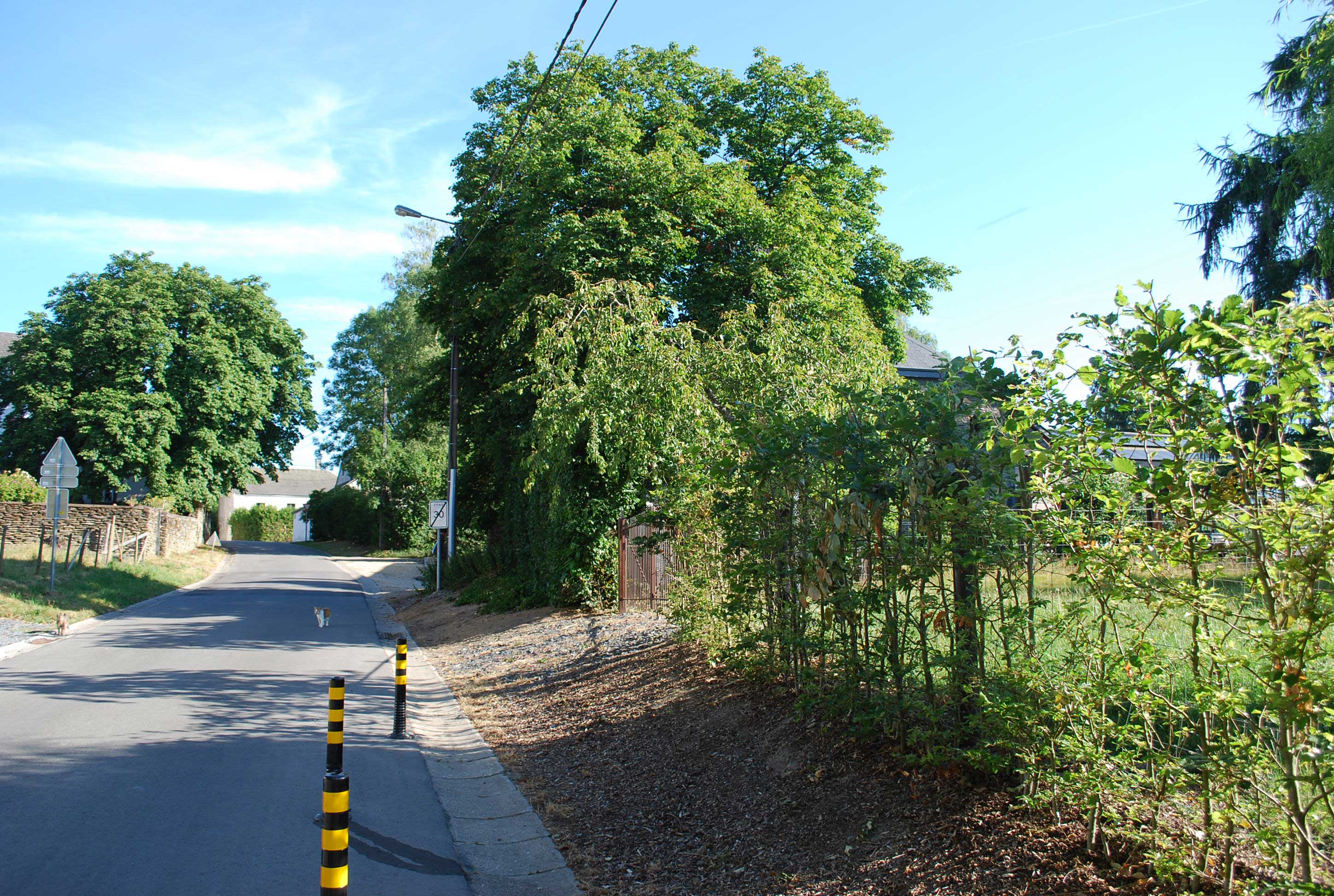 Bed and Bedot | Gîte chaleureux de 4 personnes à Fauvillers en bordure de Fôret d'Anlier - Luxembourg