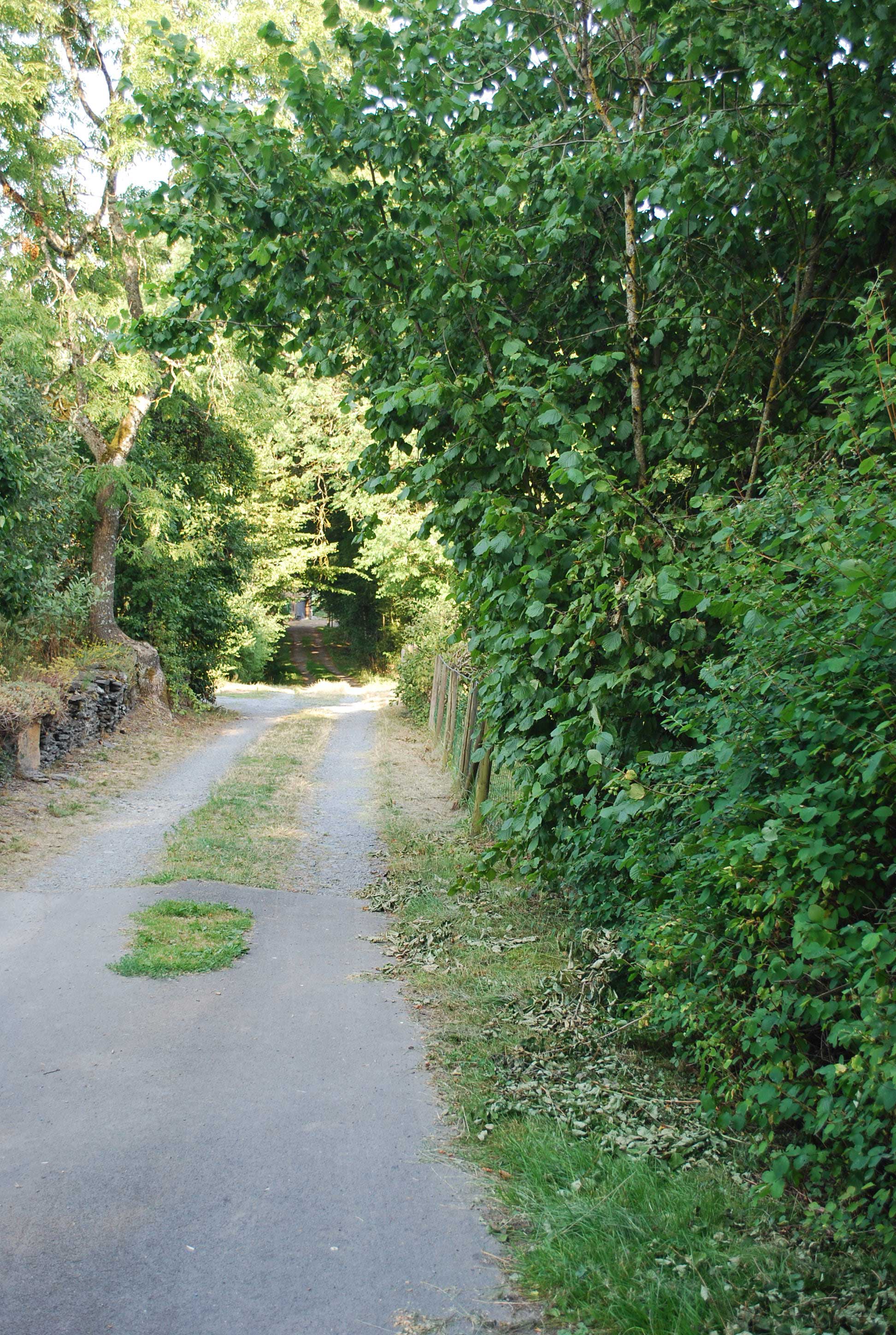 Bed and Bedot | Gîte chaleureux de 4 personnes à Fauvillers en bordure de Fôret d'Anlier - Luxembourg