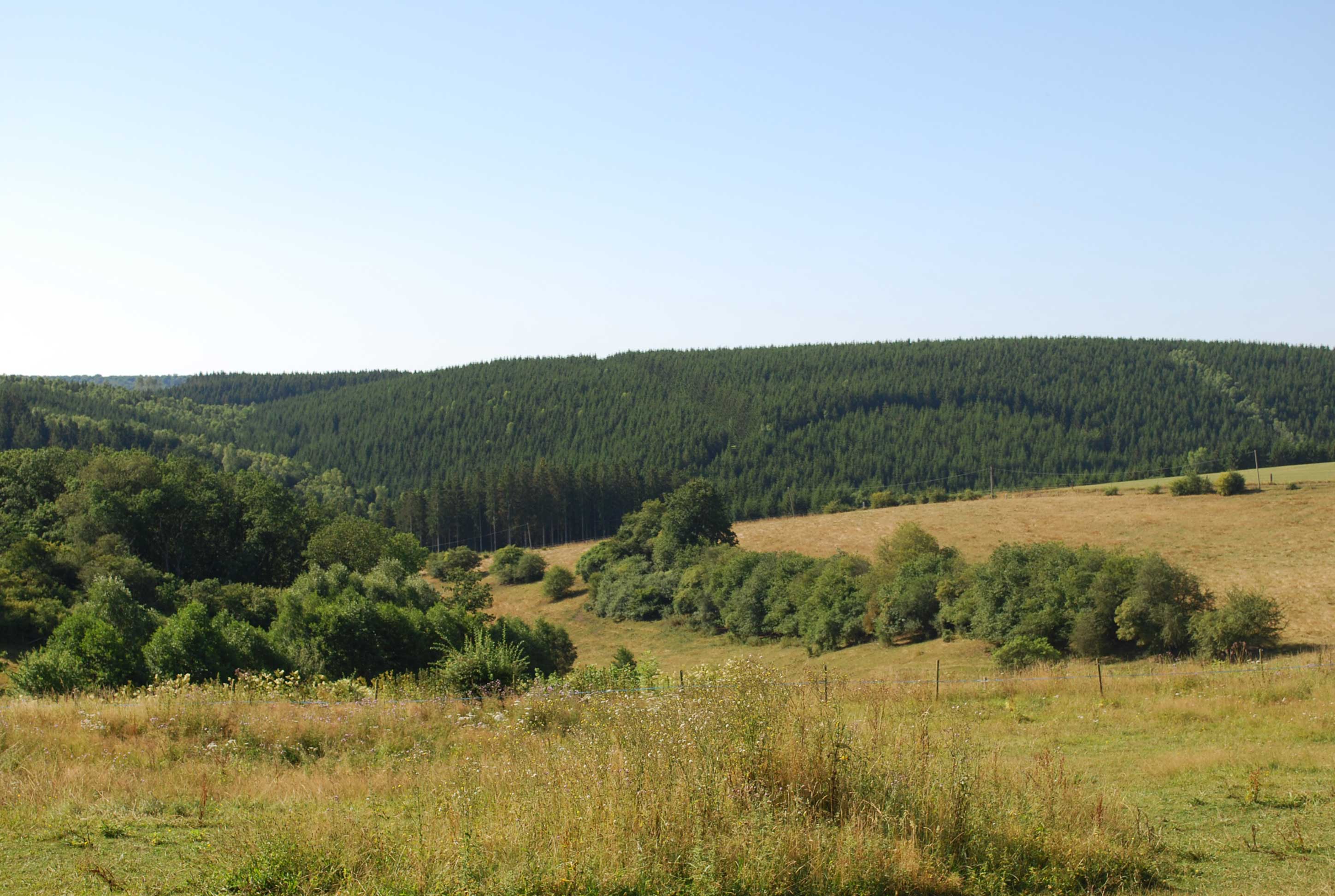 Bed and Bedot | Gîte chaleureux de 4 personnes à Fauvillers en bordure de Fôret d'Anlier - Luxembourg