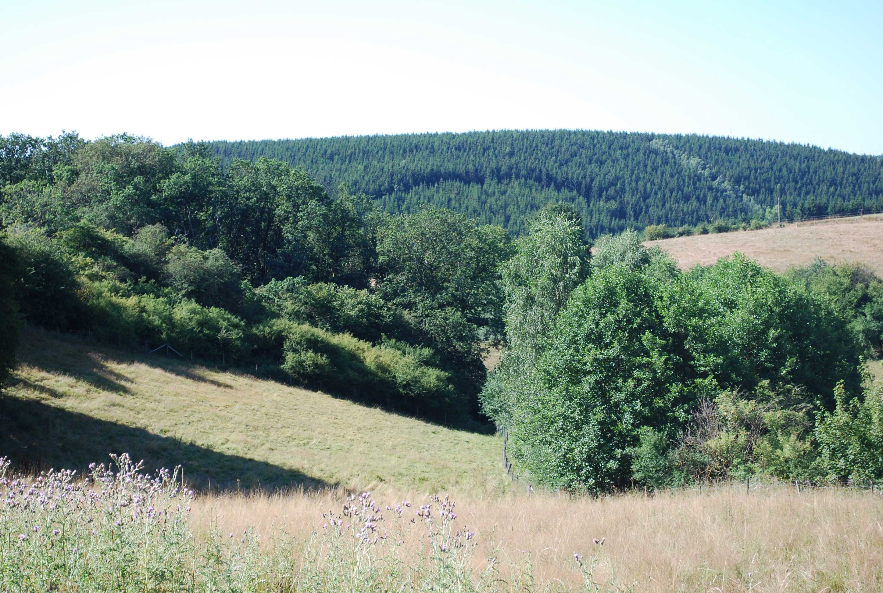 Bed and Bedot | Gîte chaleureux de 4 personnes à Fauvillers en bordure de Fôret d'Anlier - Luxembourg