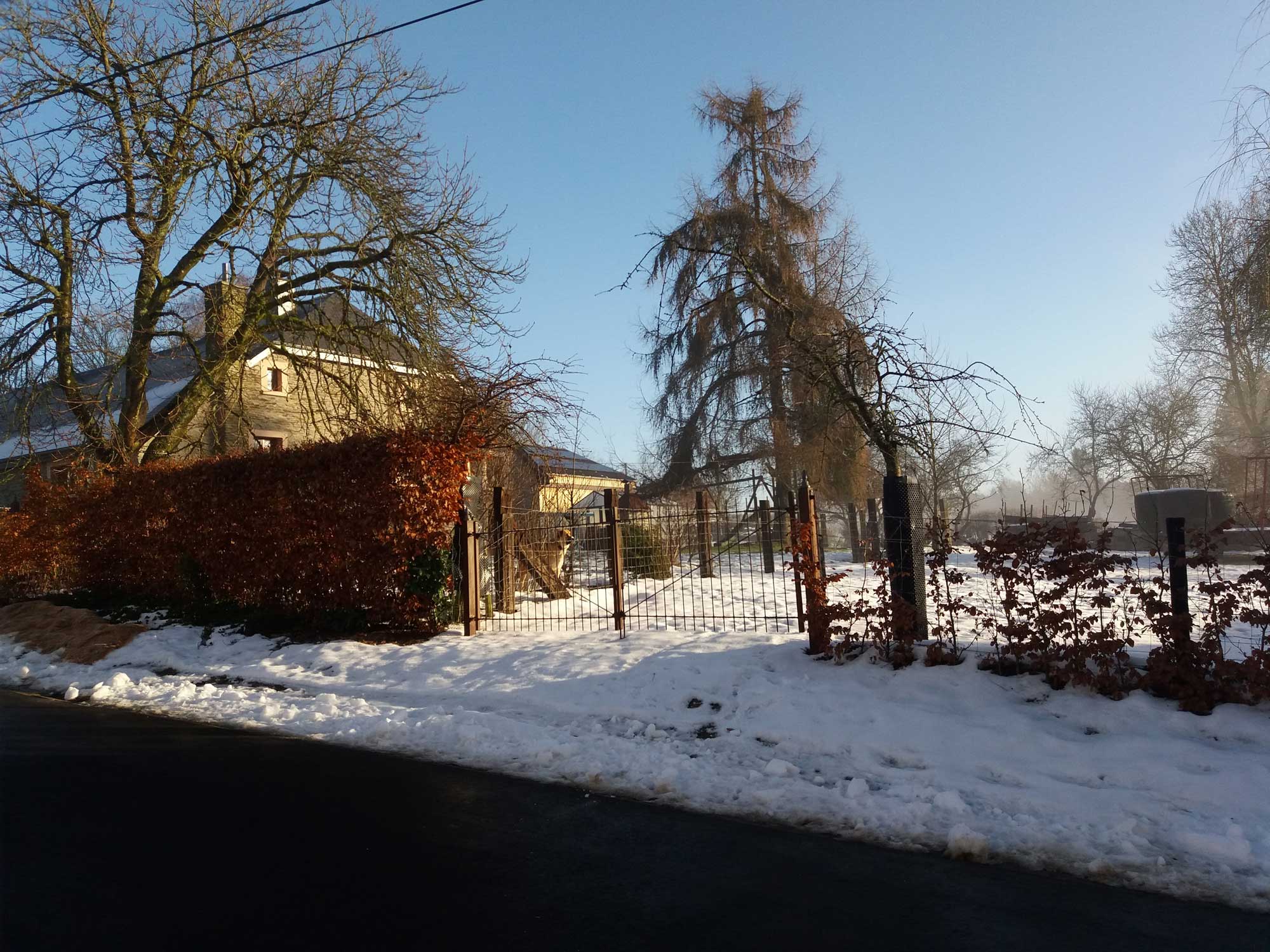 Bed and Bedot | Gîte chaleureux de 4 personnes à Fauvillers en bordure de Fôret d'Anlier - Luxembourg